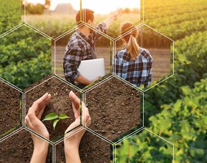 Département des Sciences Agronomiques Département des Sciences Agronomiques