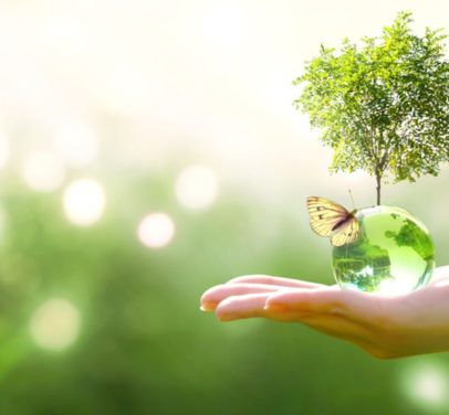 enedis-te-lesechos-cinq-start-up-qui-allient-ecologie-et-technologie-credit-shutterstock enedis-te-lesechos-cinq-start-up-qui-allient-ecologie-et-technologie-credit-shutterstock