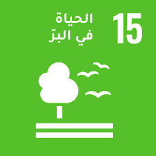 e49f5c7319e62d19231bf9873be7ef72