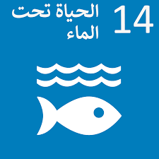 fddefe6d2f1c17e3c3c9017db5905ef6