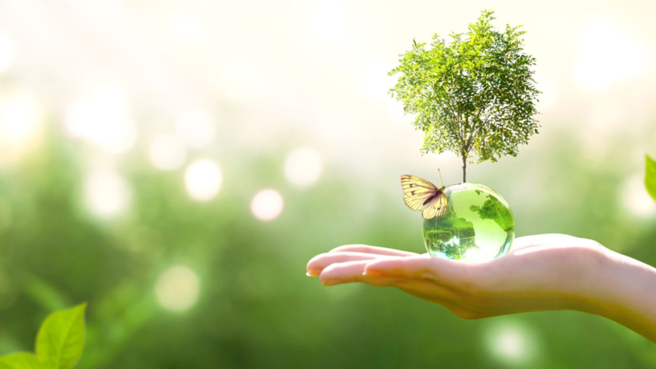 enedis-te-lesechos-cinq-start-up-qui-allient-ecologie-et-technologie-credit-shutterstock