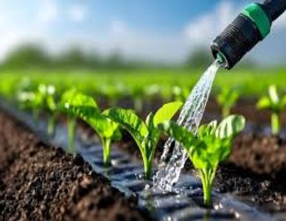 laichesemi (1) laichesemi (1)