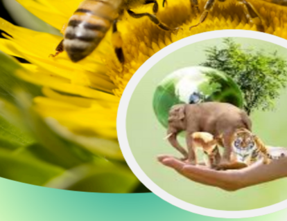 SEMINAIRE (1) SEMINAIRE (1)