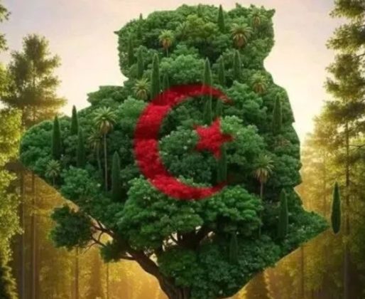 Screenshot_24-10-2025_205038_www.echoroukonline.com (1)