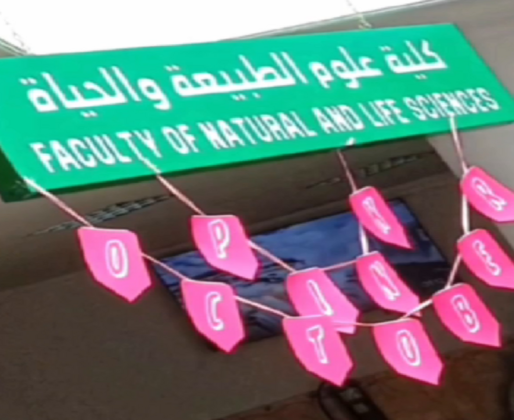 octobre rose (1) octobre rose (1)