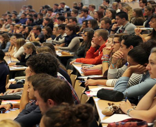 etude-formations-apres-bacc-L-1 (1) etude-formations-apres-bacc-L-1 (1)