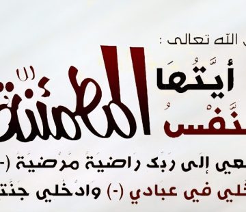 1000018799 1000018799