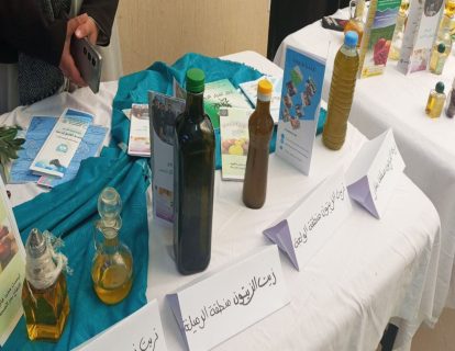 photo_5875397983011015730_y (1)