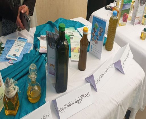 photo_5875397983011015730_y (1)