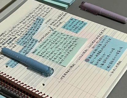 Aesthetic Study Motivation