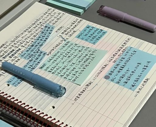 Aesthetic Study Motivation