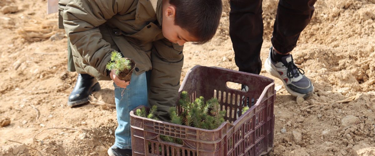 633385364_923816430158874_2877421852454399109_n