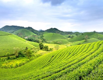 Screenshot_19-3-2026_125823_static.euronews.com (1)