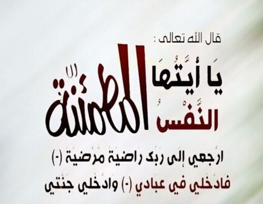 c56ae8dd-8d2c-4ccd-b1dd-3a2cf974 (2)