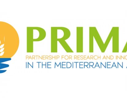 c79437b55c5c9951dea9dd78facc22a7_XL (1)