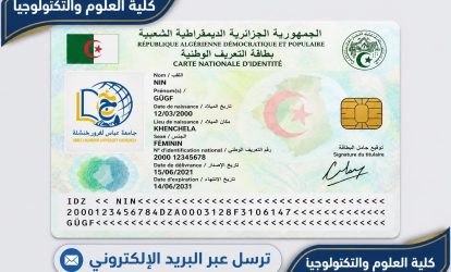 Duck-ai-image-2026-09-18-06-41 Duck-ai-image-2026-09-18-06-41