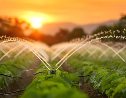 optimizing-agricultural-irrigation-water-conservation-enhanced-crop-yield-concept-agricultural-irrigation-water-conservation-crop-yield-optimization-sustainable-farming_864588-151197 (1) optimizing-agricultural-irrigation-water-conservation-enhanced-crop-yield-concept-agricultural-irrigation-water-conservation-crop-yield-optimization-sustainable-farming_864588-151197 (1)